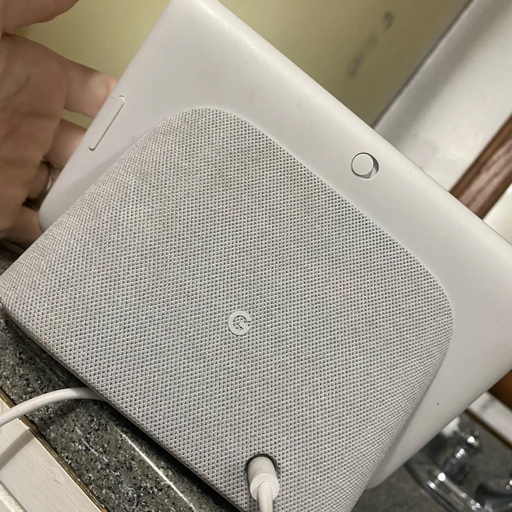 Google home nest